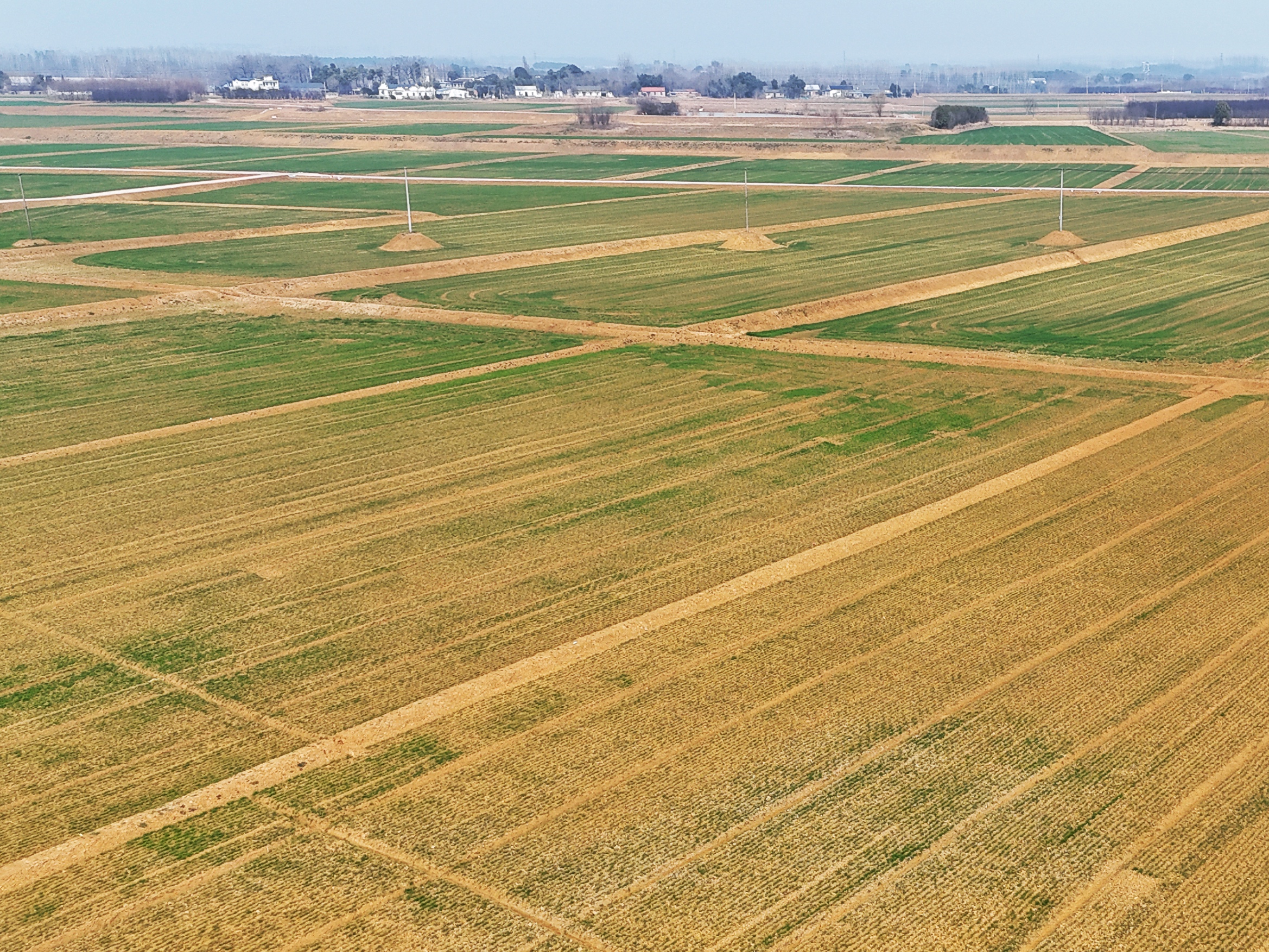 尊龙新版人生就是博!(中国)官方网站