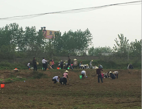 尊龙新版人生就是博!(中国)官方网站
