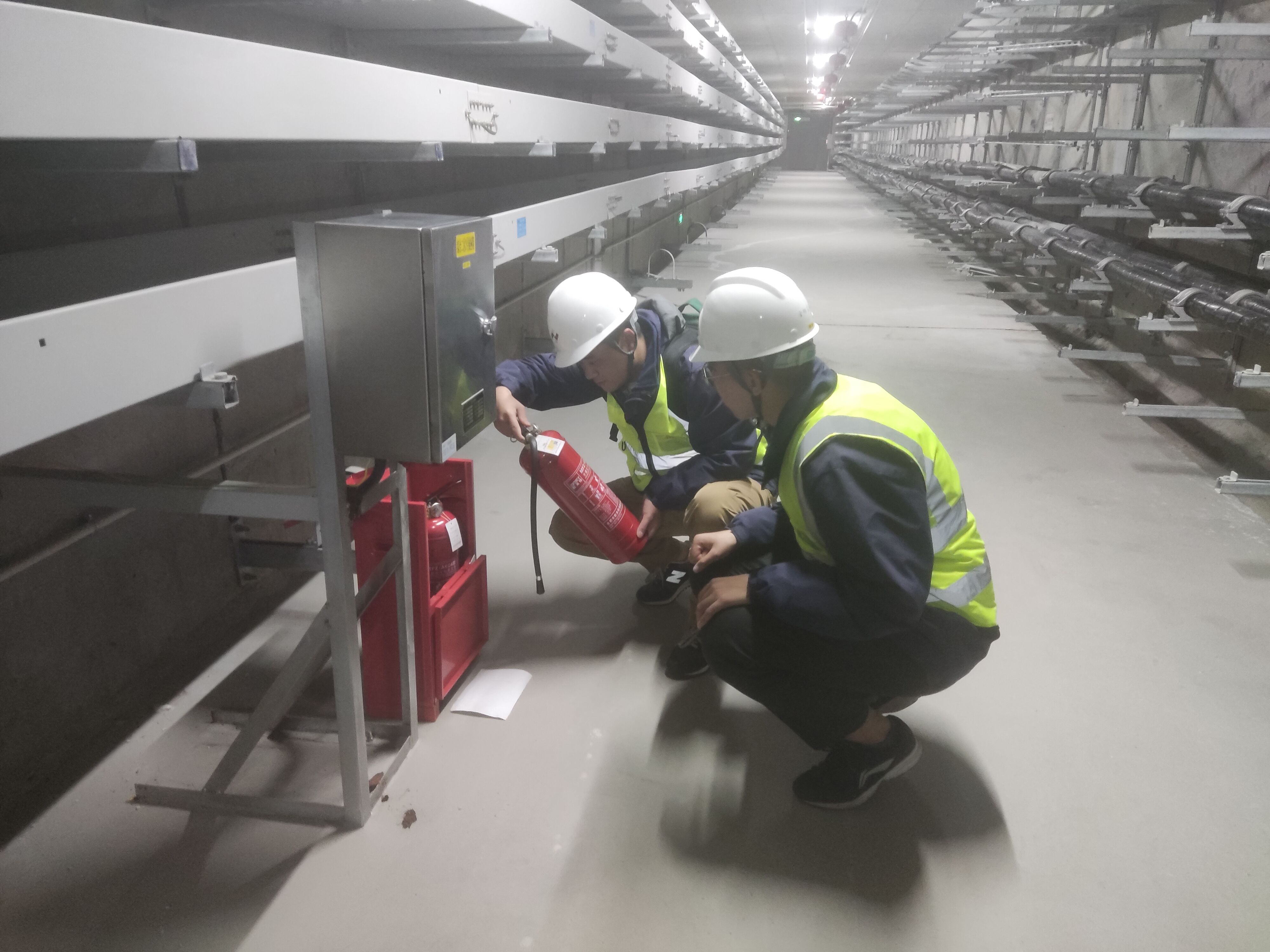 尊龙新版人生就是博!(中国)官方网站