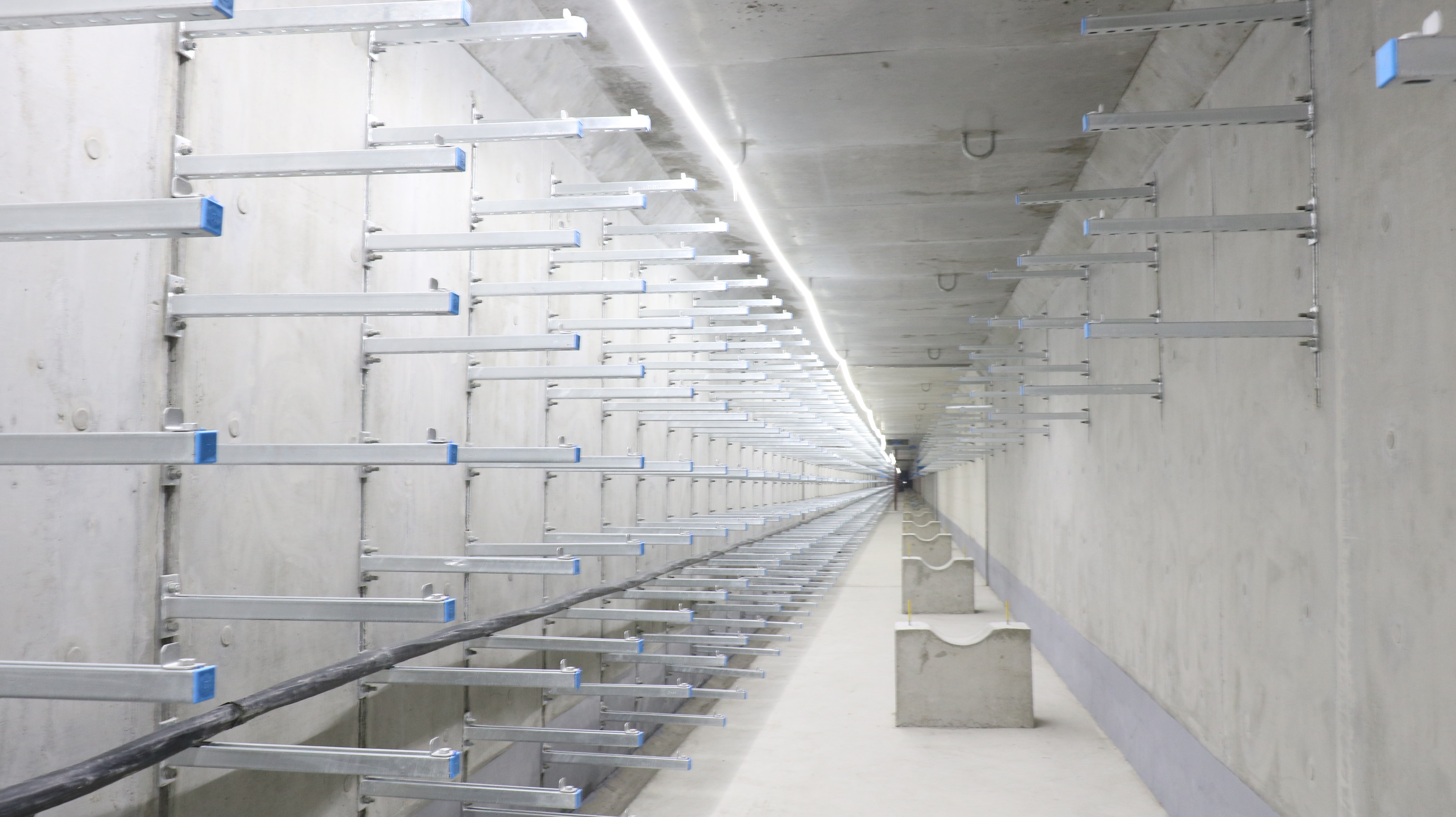 尊龙新版人生就是博!(中国)官方网站