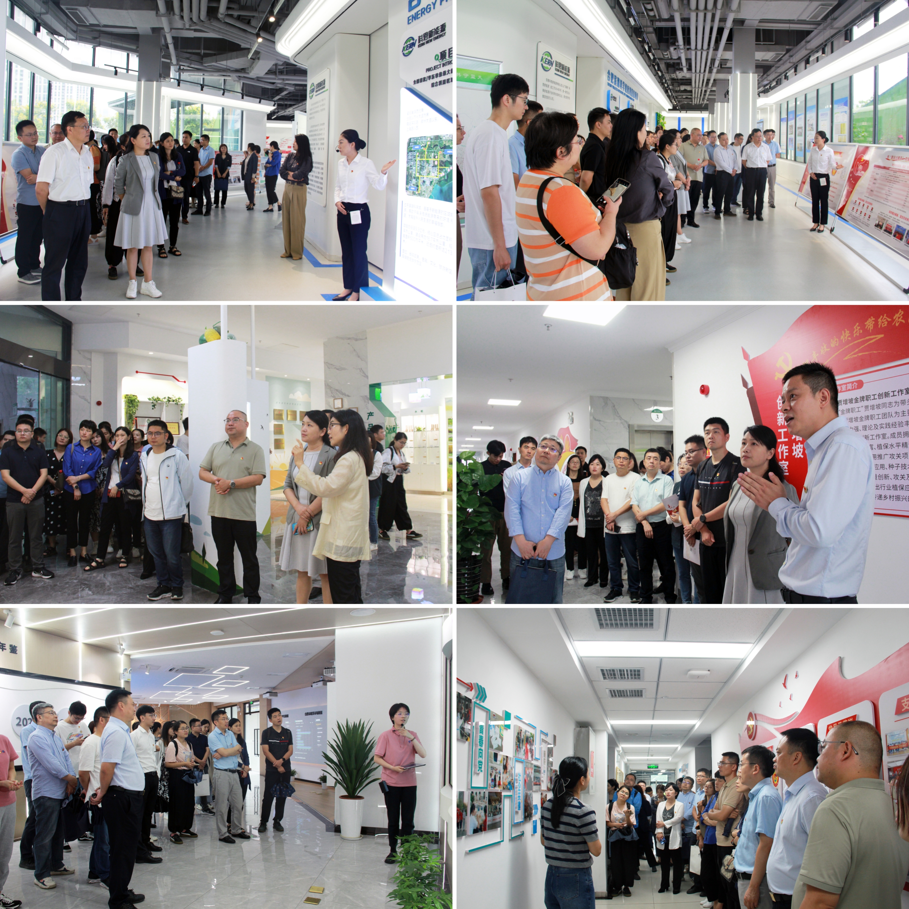 尊龙新版人生就是博!(中国)官方网站