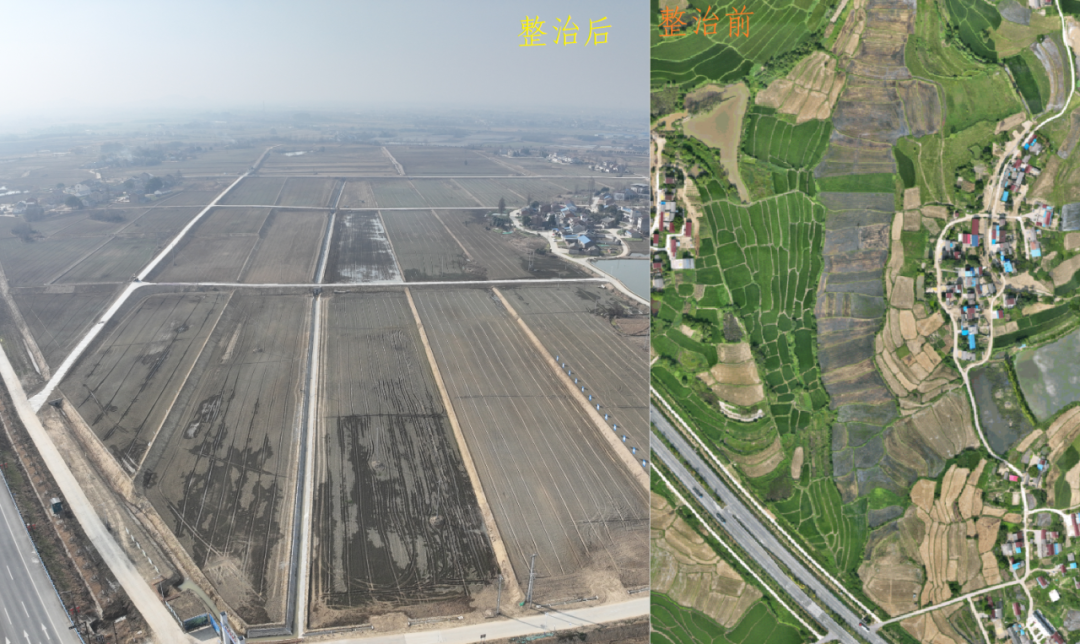 尊龙新版人生就是博!(中国)官方网站