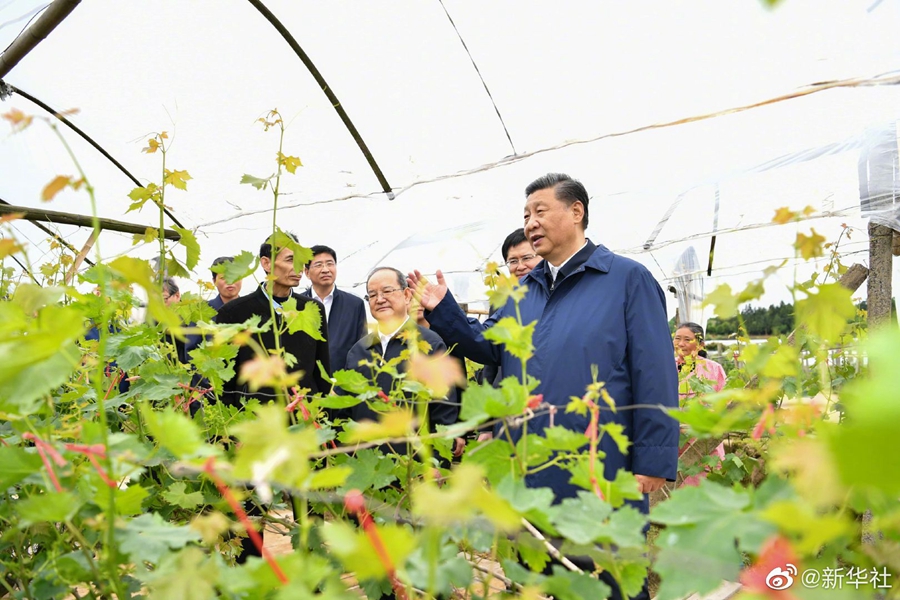 尊龙新版人生就是博!(中国)官方网站